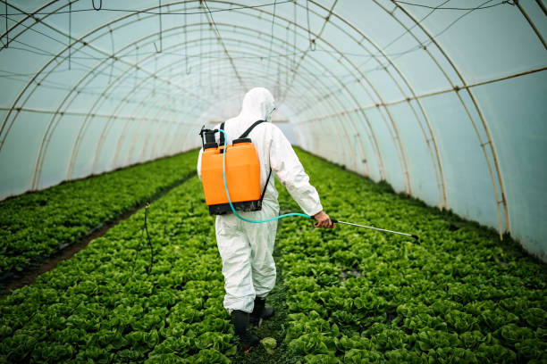 Best Pest Control Near Me  in Sun Valley, ID