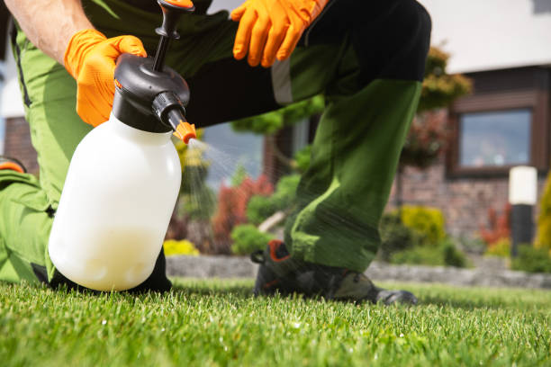 Best Pest Prevention Services  in Sun Valley, ID