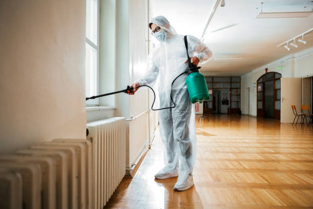 Best Pest Inspection Near Me  in Sun Valley, ID
