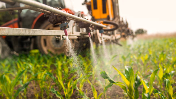 Best Mosquito Control Services  in Sun Valley, ID